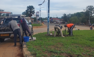 Planting of flowers in Town