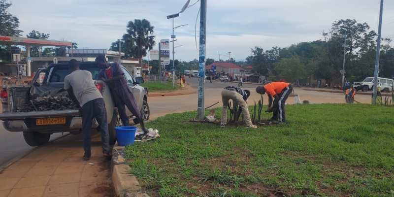 Planting of flowers in Town